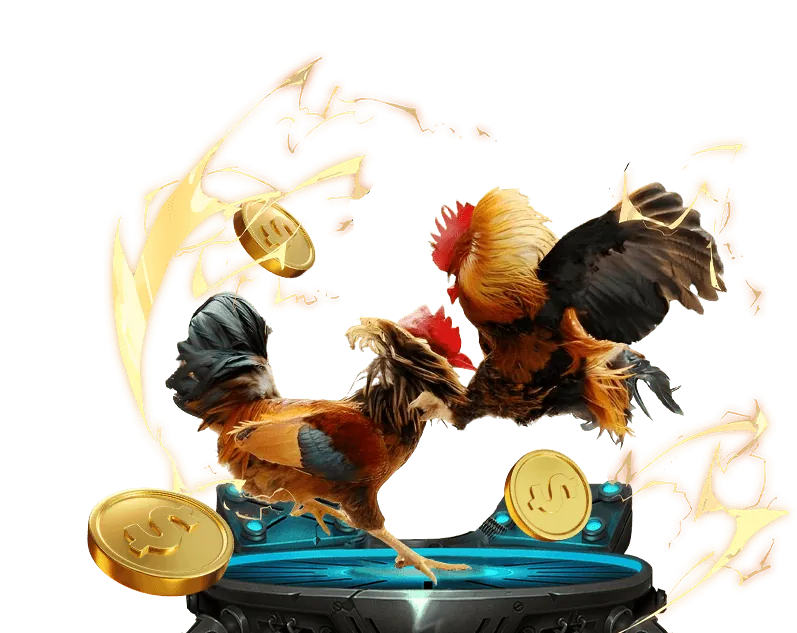 Sự kiện đá gà lớn nhất